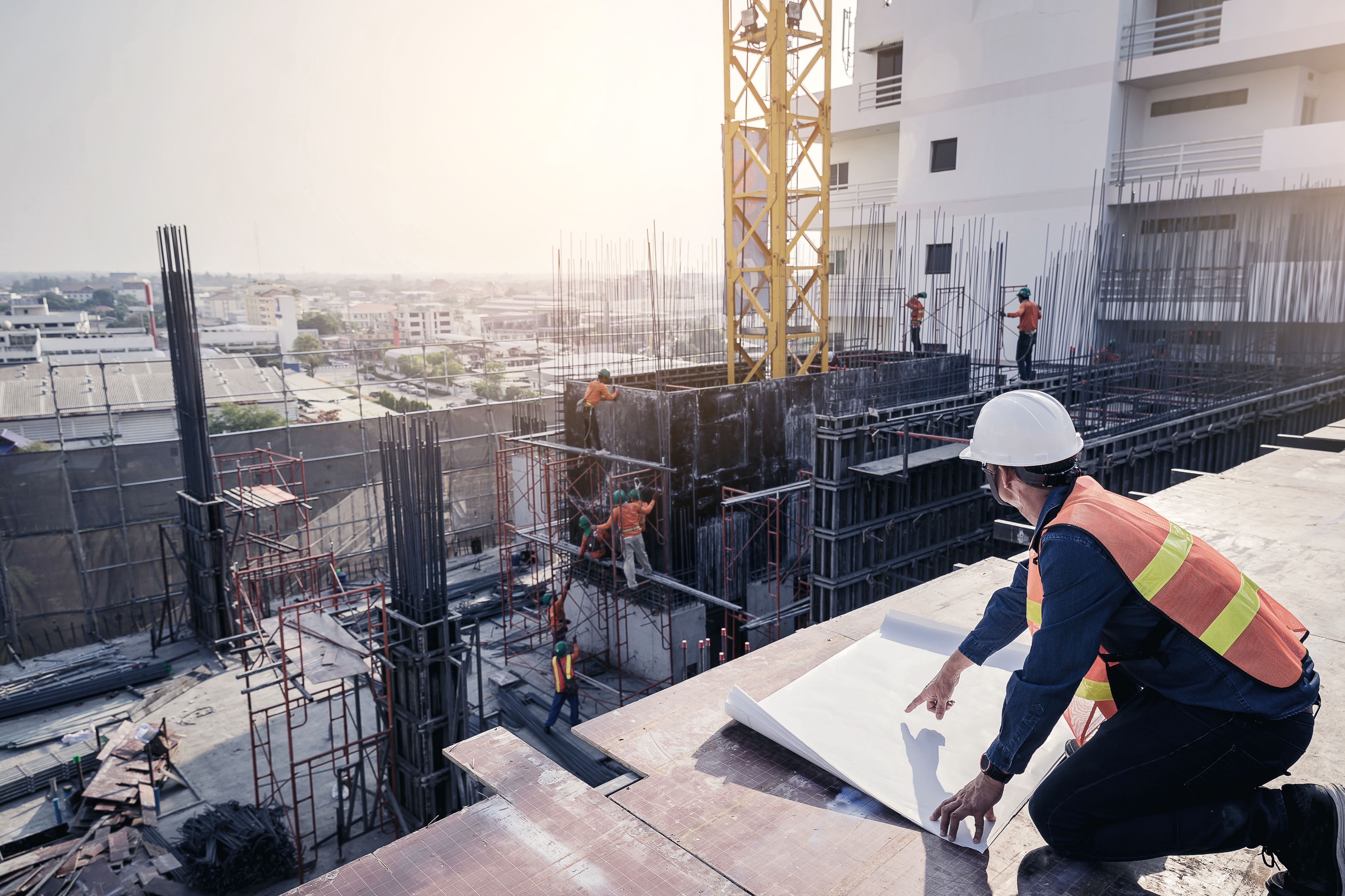 Industrial Project & Program Management (1).jpg