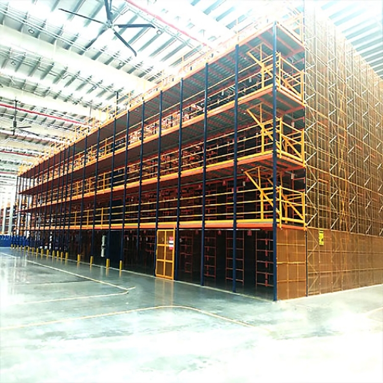 ASRS Armes Maini (1).jpg