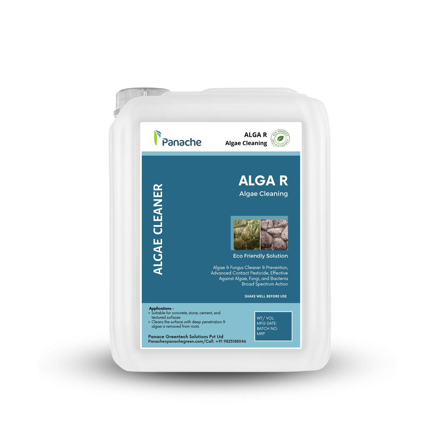 Copy of alga R.jpg