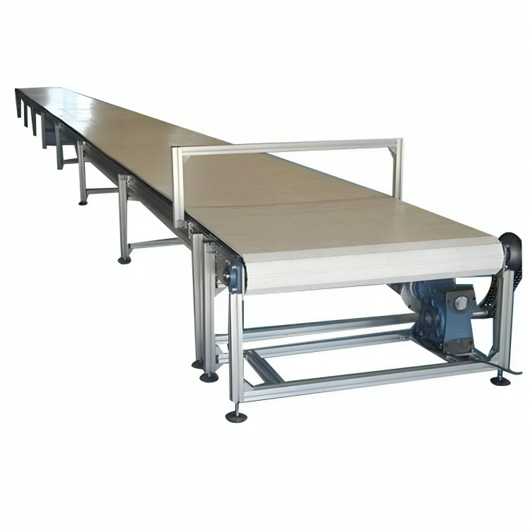 Stainless Steel Belt Conveyor Transcedence Automation.jpg