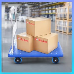 f9e971a6-456e-4a7b-abdb-600370b014c7.__CR0_0_500_500_PT0_SX300_V1 (1).jpg