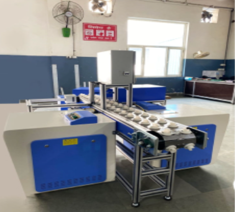 Lazer Marking Conveyor....png