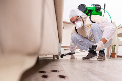 Pest Management Services.png