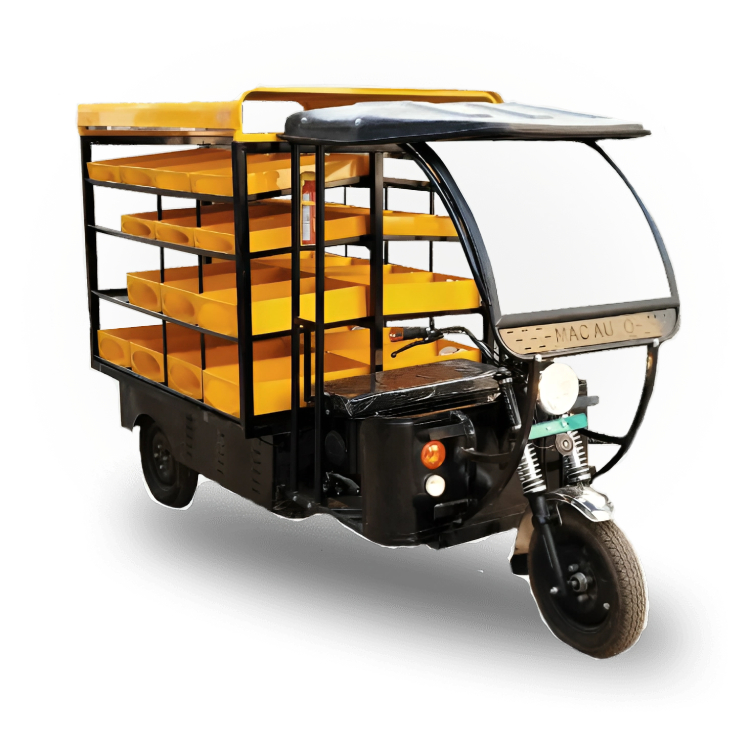 E Rickshaw Vending Cart Macauto.jpg